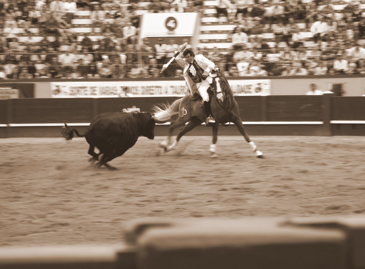 Dia26 5Toiro MBastinhas.JPG