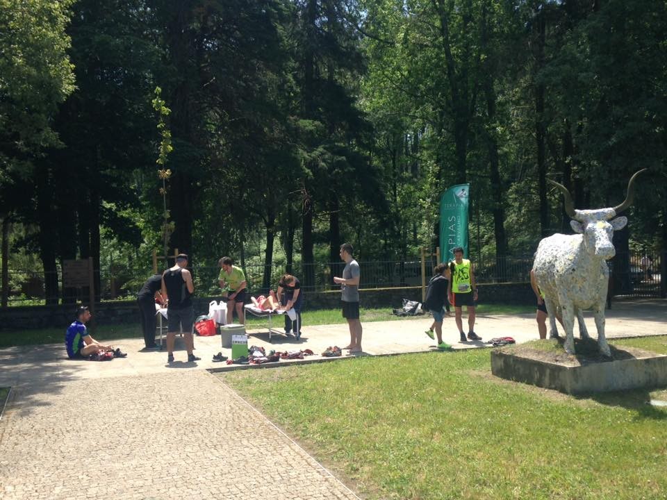 13521919_1233812539969820_2421282595673312666_n.jp