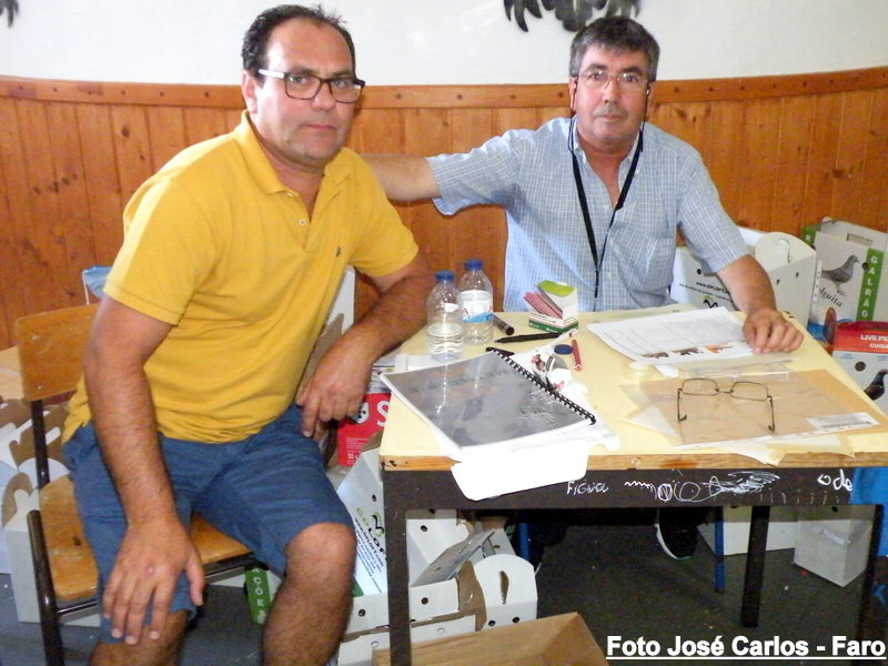 Leilão Ervidel 2017 078.JPG