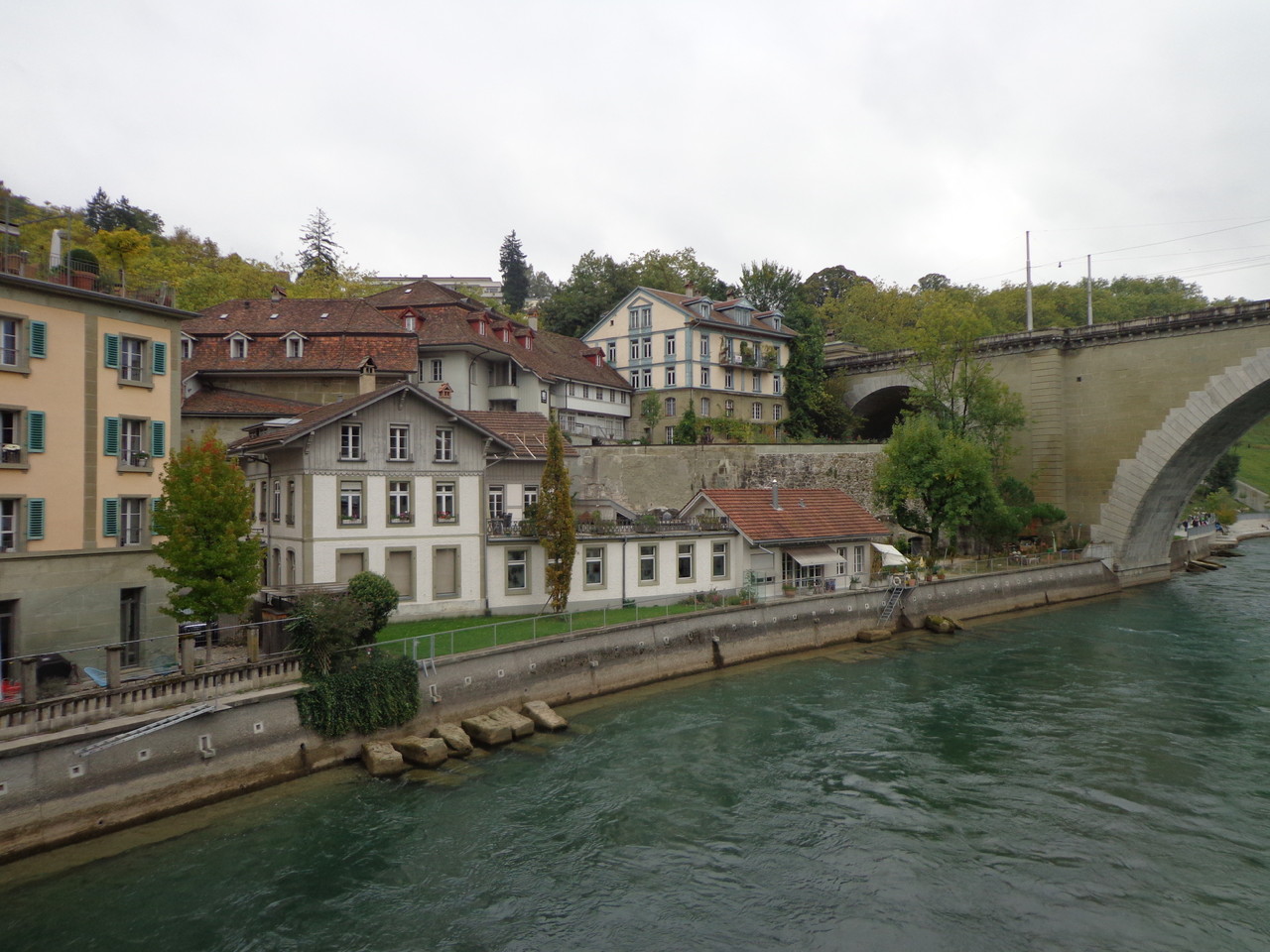 DSC00021.JPG DSC00021.JPG