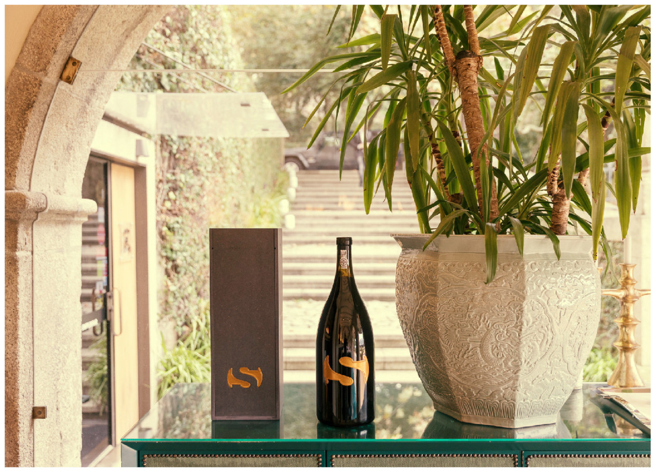 Poças Símbolo 2014 ©João Ferrand