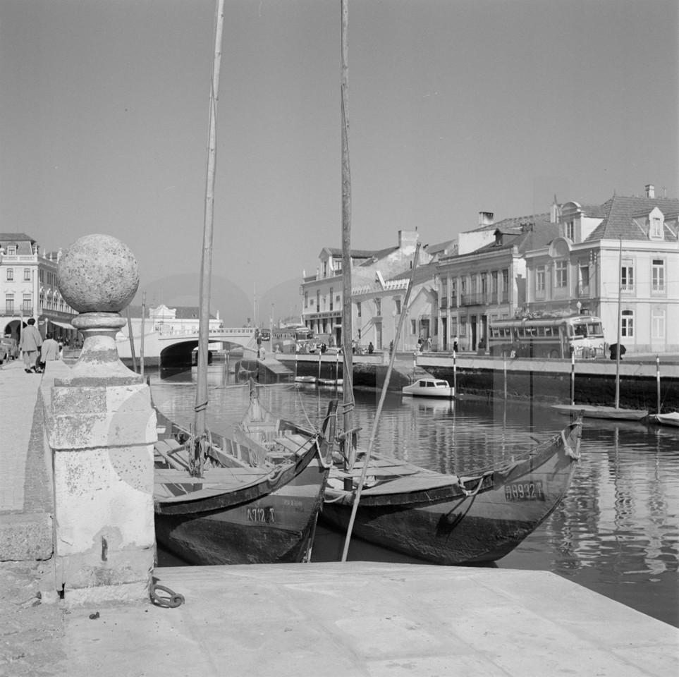 Barcos moliceiros, Aveiro (A. Pastro, c. 1952)
