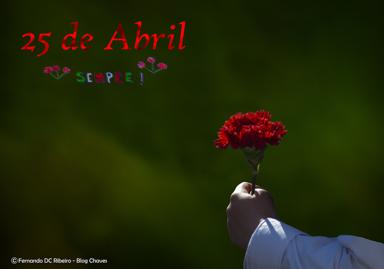 aniversario-15 (11).jpg