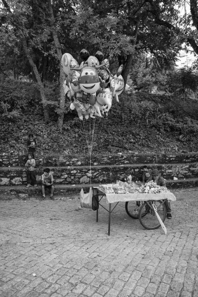 DSCF0323 - cópia copy.jpg