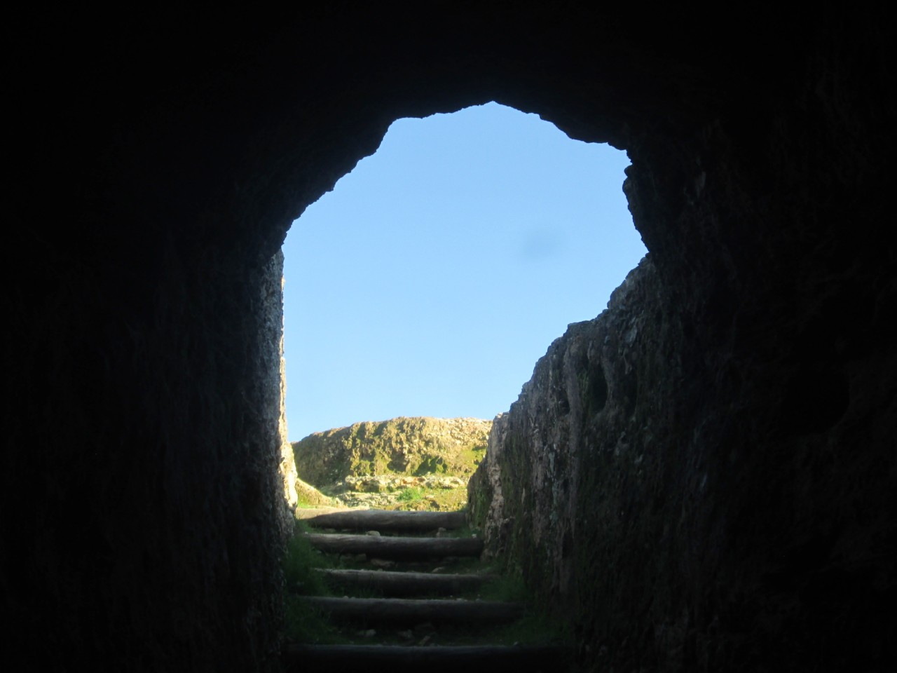 IMG_7264.JPG IMG_7264.JPG