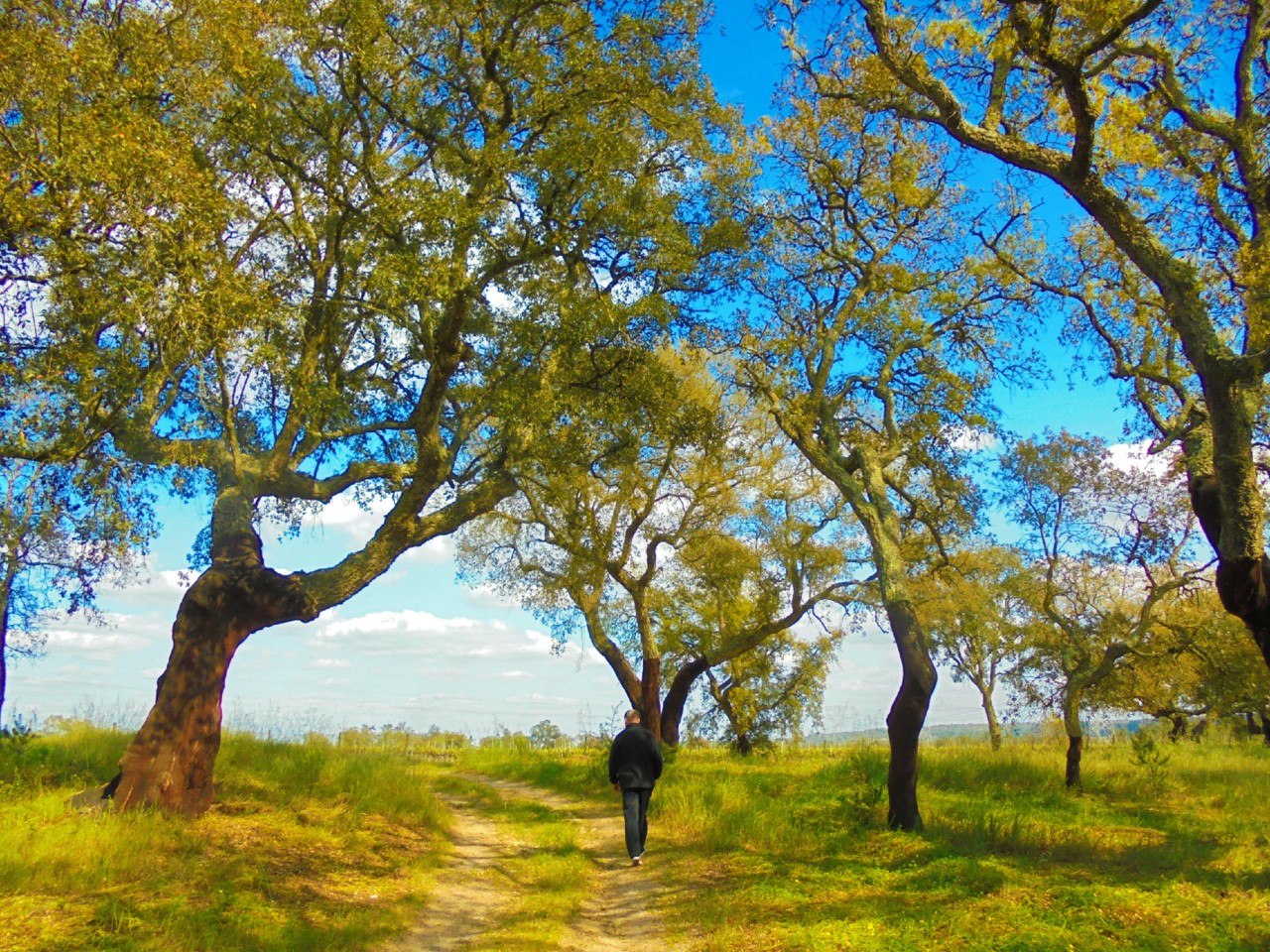 DSC01010.jpg DSC01010.jpg