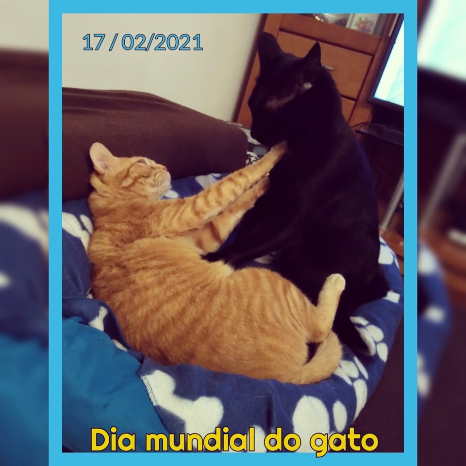 IMG_20210217_155153_633.jpg IMG_20210217_155153_633.jpg