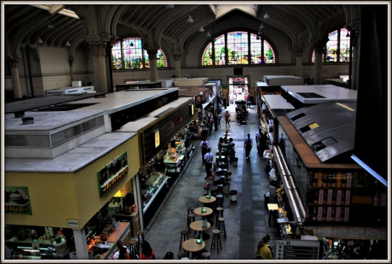 IMG_9824 (2) brasil.jpg IMG_9824 (2) brasil.jpg