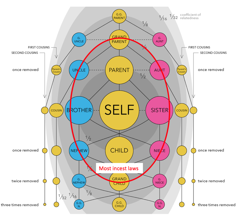 Screen Shot 2019-03-26 at 09.13.41.png