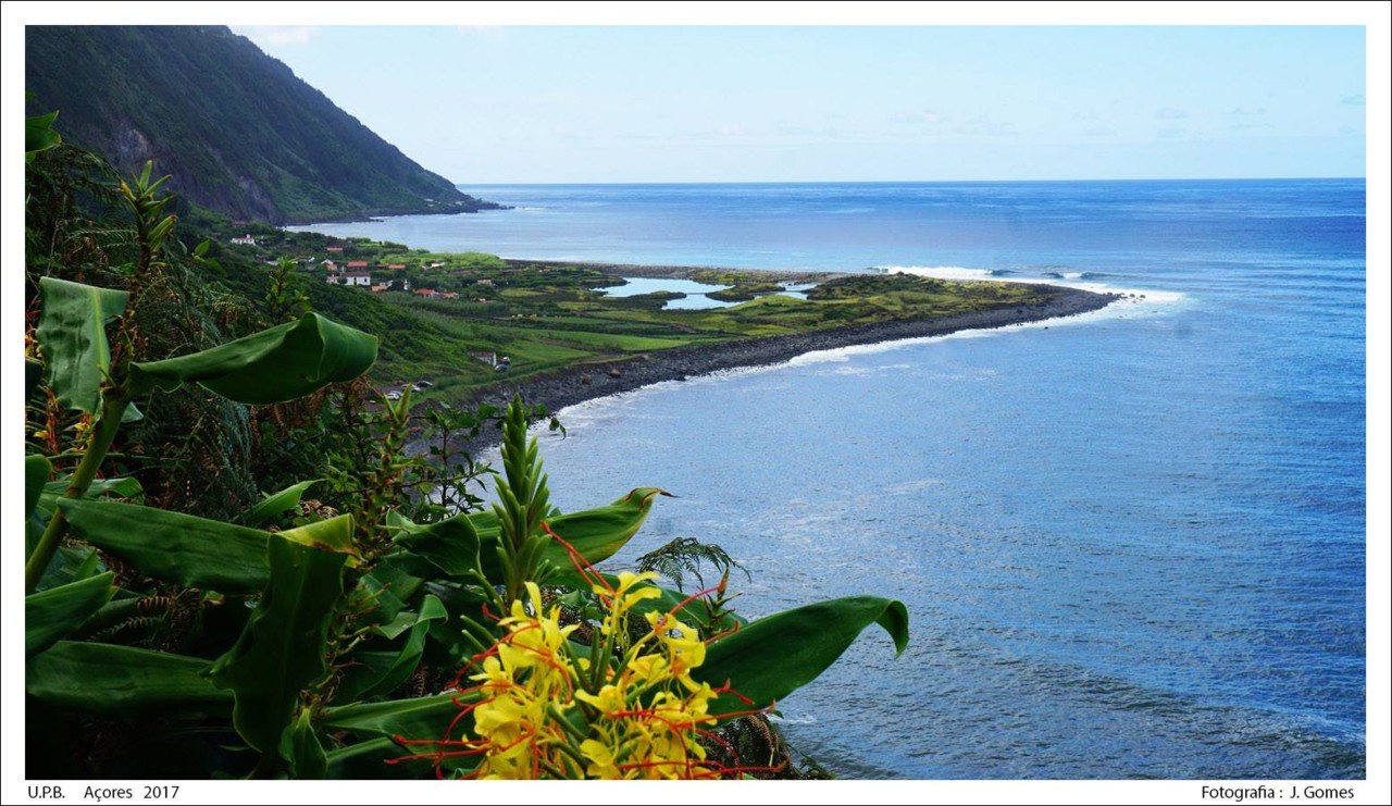 22181328_1950553584961687_3137780094862290643_o.jp 22181328_1950553584961687_3137780094862290643_o.jp