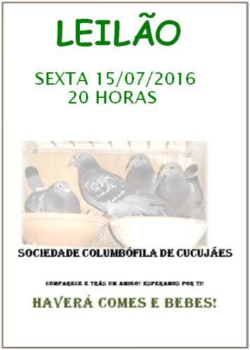 Leilão Cucujães.jpg