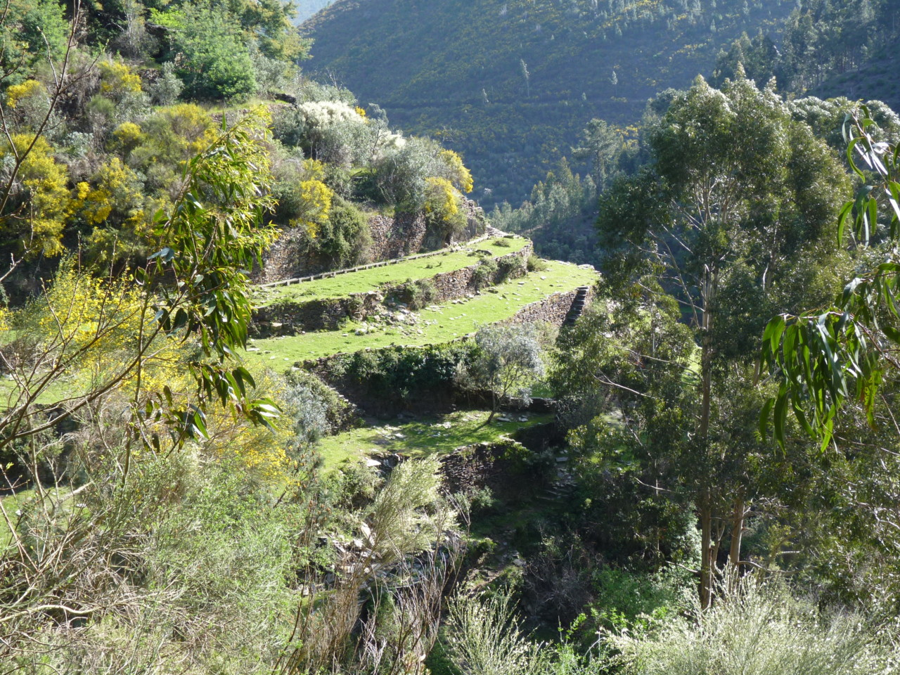 Piódão (8).JPG Piódão (8).JPG