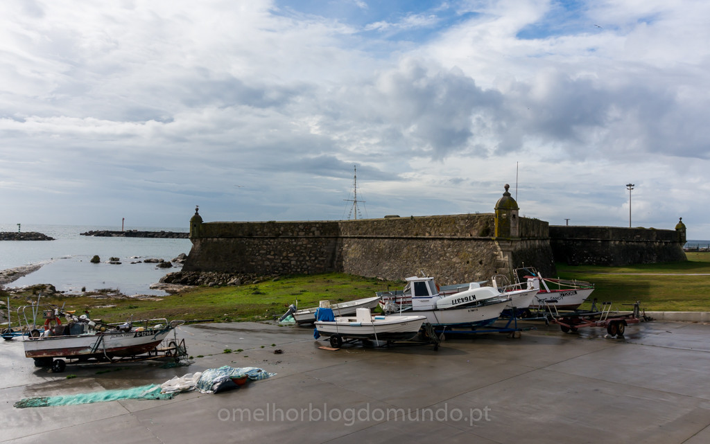 DSC03642.jpg DSC03642.jpg