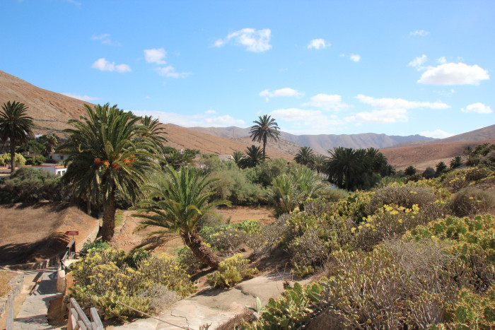 img_8490.jpg img_8490.jpg