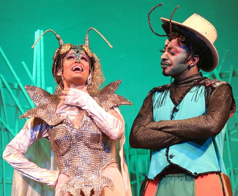 A-Cigarra-e-a-Formiga-foto-Helmut-Hossmann-08.JPG5