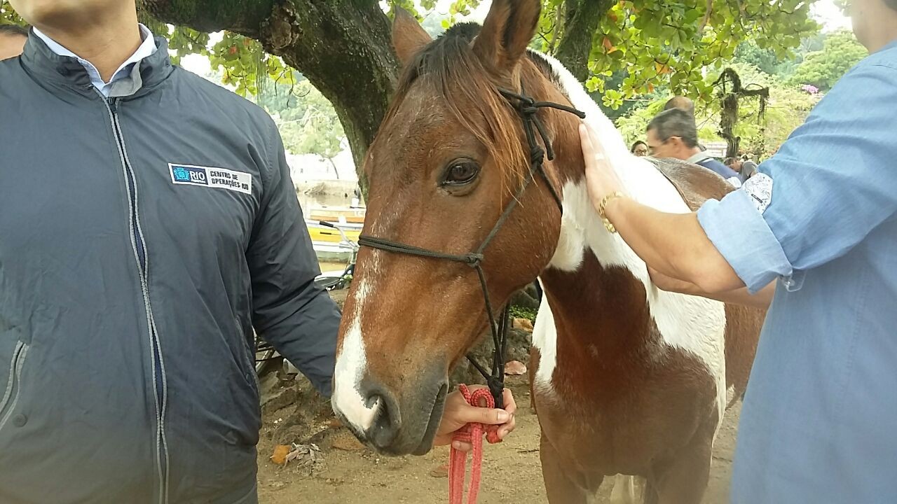 PAQUETÁ.jpg PAQUETÁ.jpg