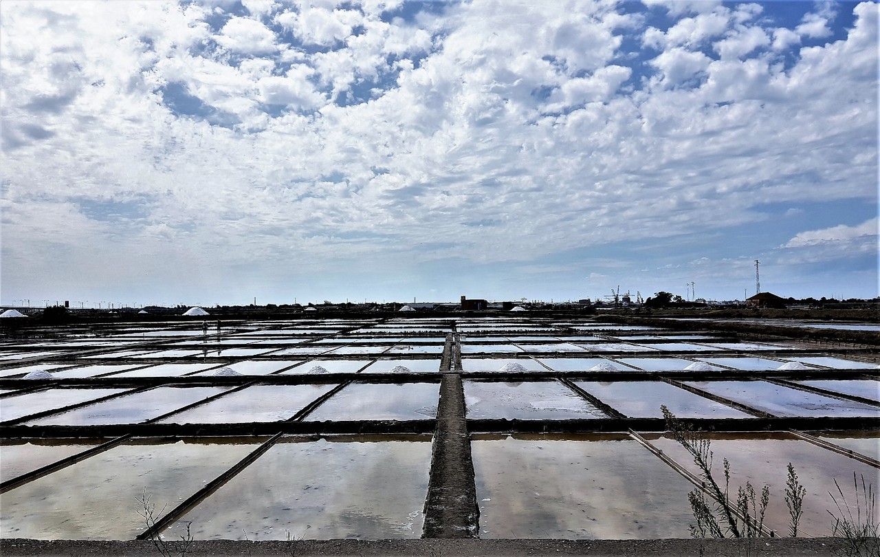 20170826_134033.jpg 20170826_134033.jpg