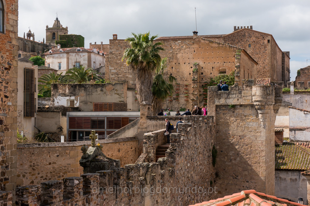 _DSC6229.jpg _DSC6229.jpg