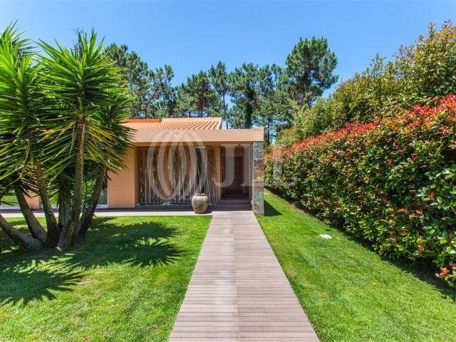 aroeira16.jpg aroeira16.jpg