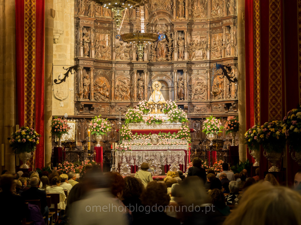 P4270104.jpg P4270104.jpg