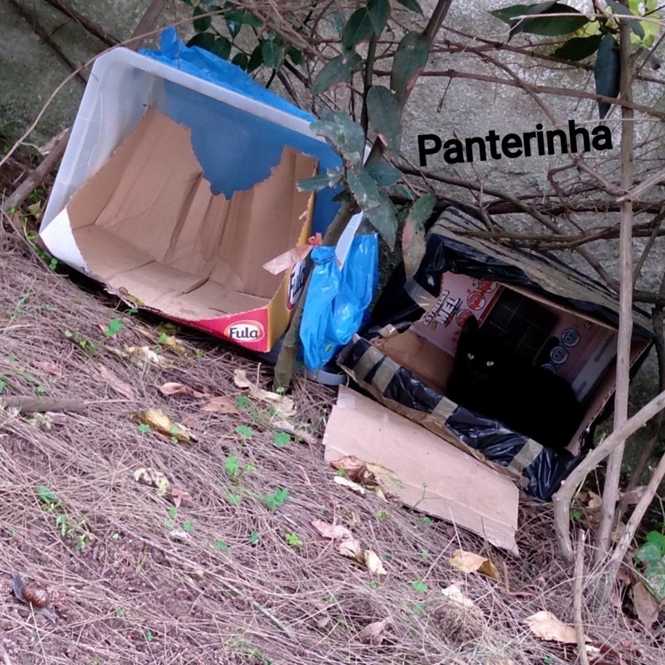 SquarePic_20191102_17140227.jpg SquarePic_20191102_17140227.jpg