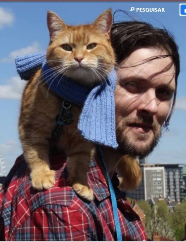 bobcat.jpg bobcat.jpg