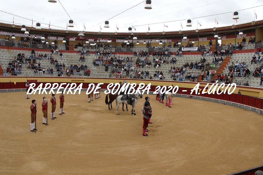 IMG_6963.JPG IMG_6963.JPG