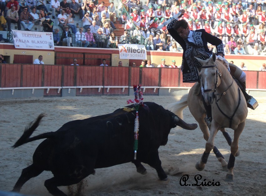 1 francisco palha.jpg