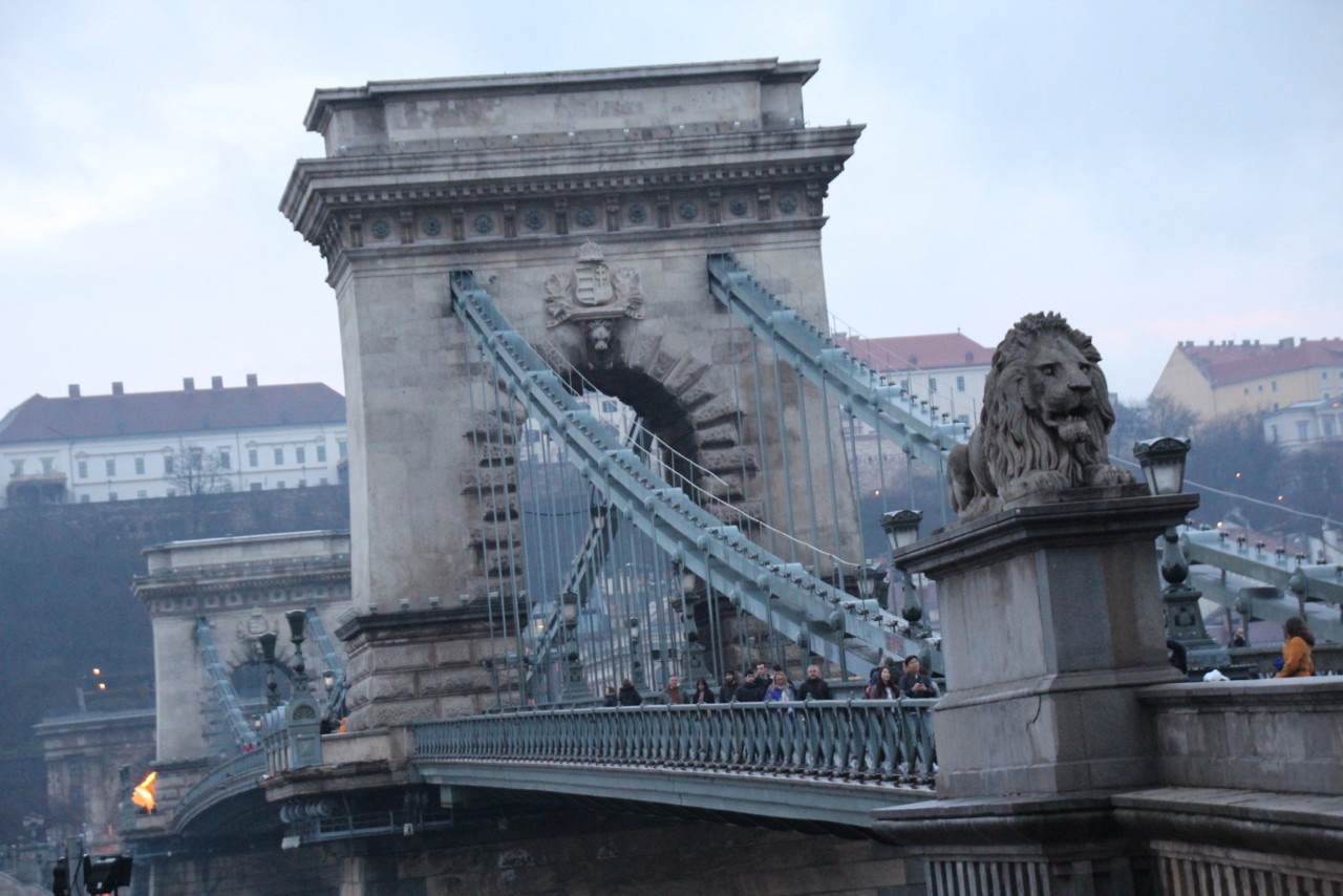 IMG_2198.JPG IMG_2198.JPG