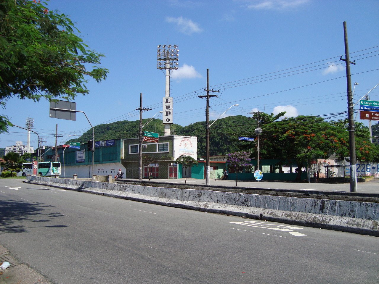 20097395.jpg