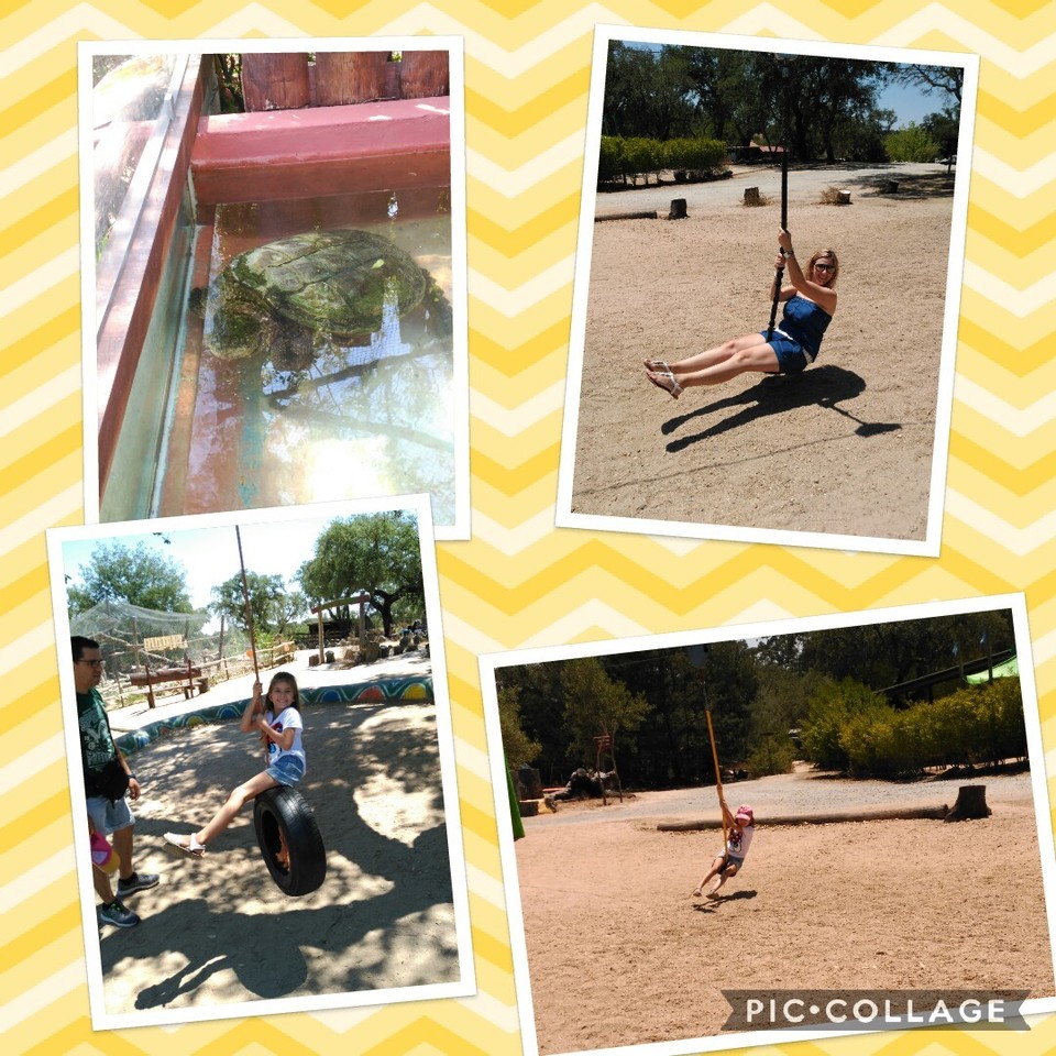 Collage 2017-07-22 23_08_14.jpg Collage 2017-07-22 23_08_14.jpg