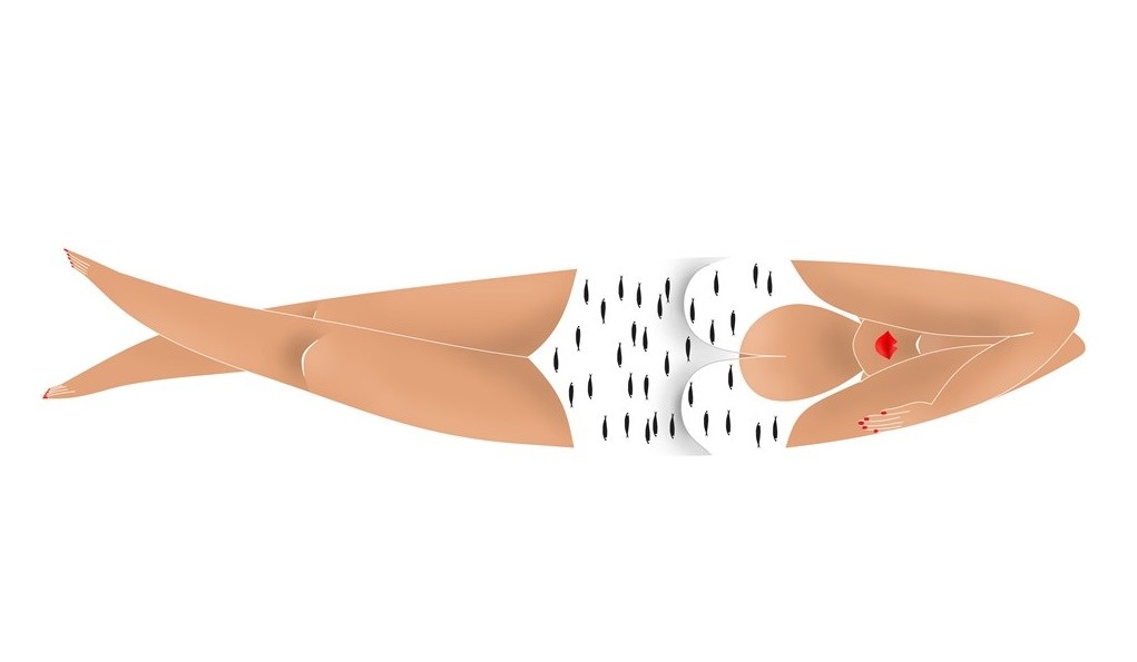 660b573f-e1ab-497c-8b08-027b4d391770-big.jpe