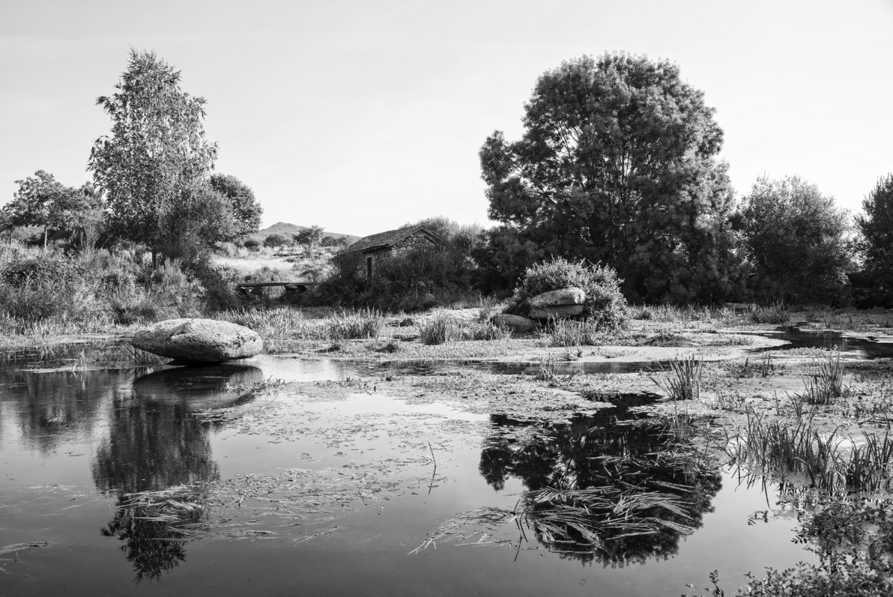 _JMF6932 - cópia copy.jpg