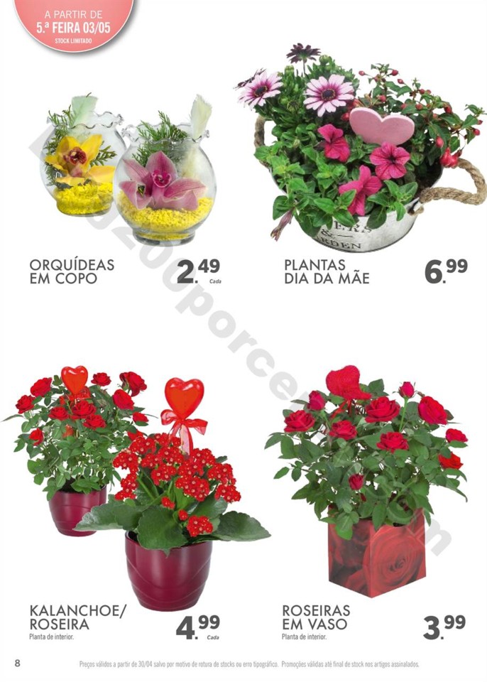 Dia-da-m_e-lidl_007.jpg