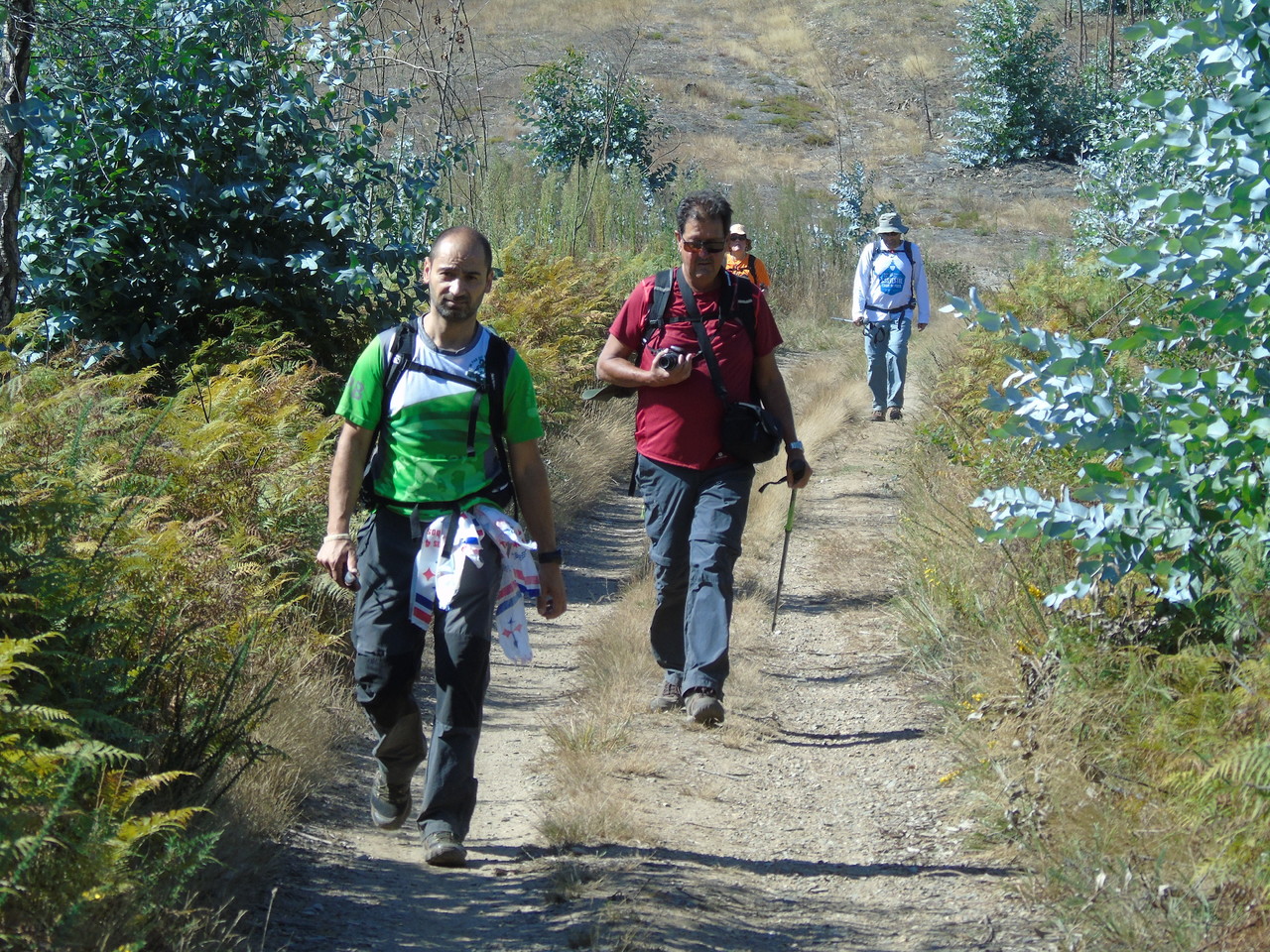 DSC03484.JPG DSC03484.JPG