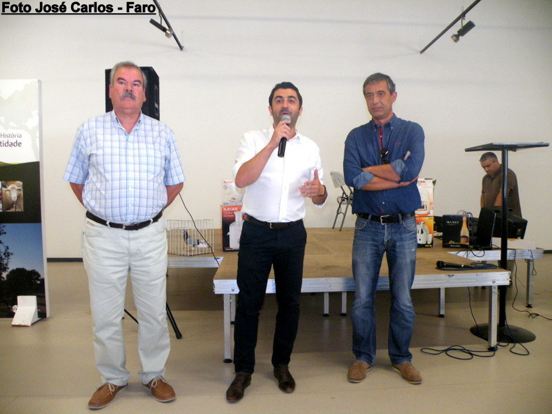 Leilão Serpa 2017 025.JPG