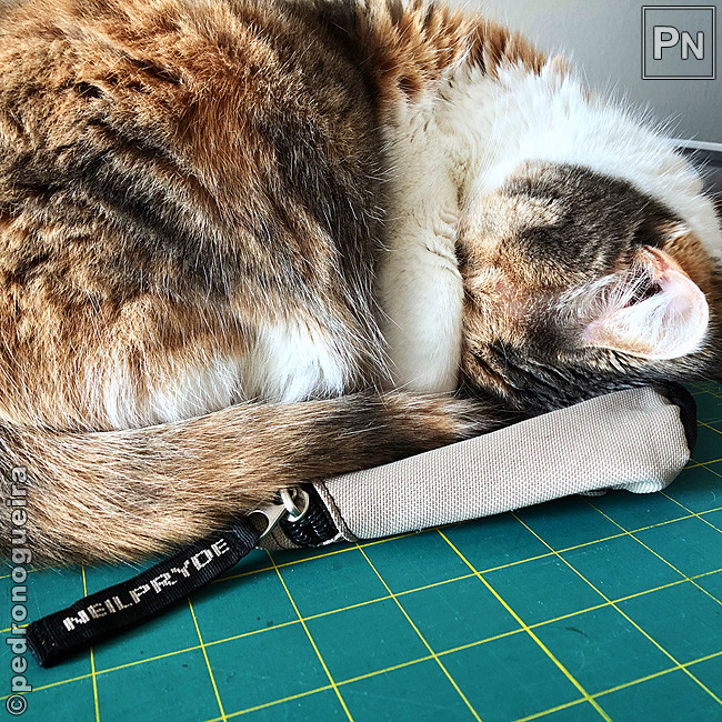 Nov_2018_032a 650px.jpg