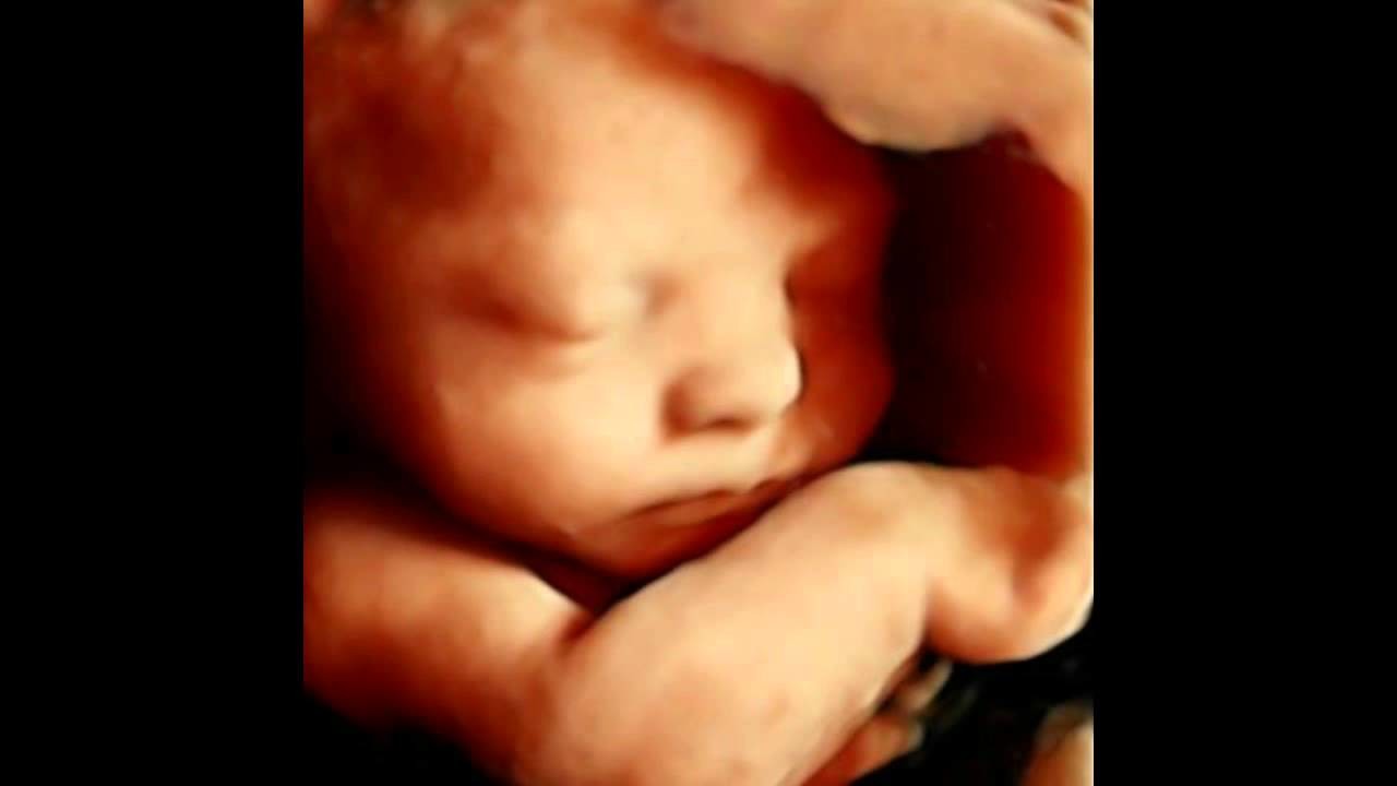 maxresdefault.jpg maxresdefault.jpg