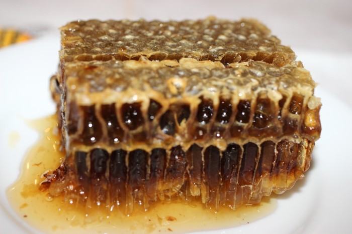 quarentena - dia 49b.jpg quarentena - dia 49b.jpg