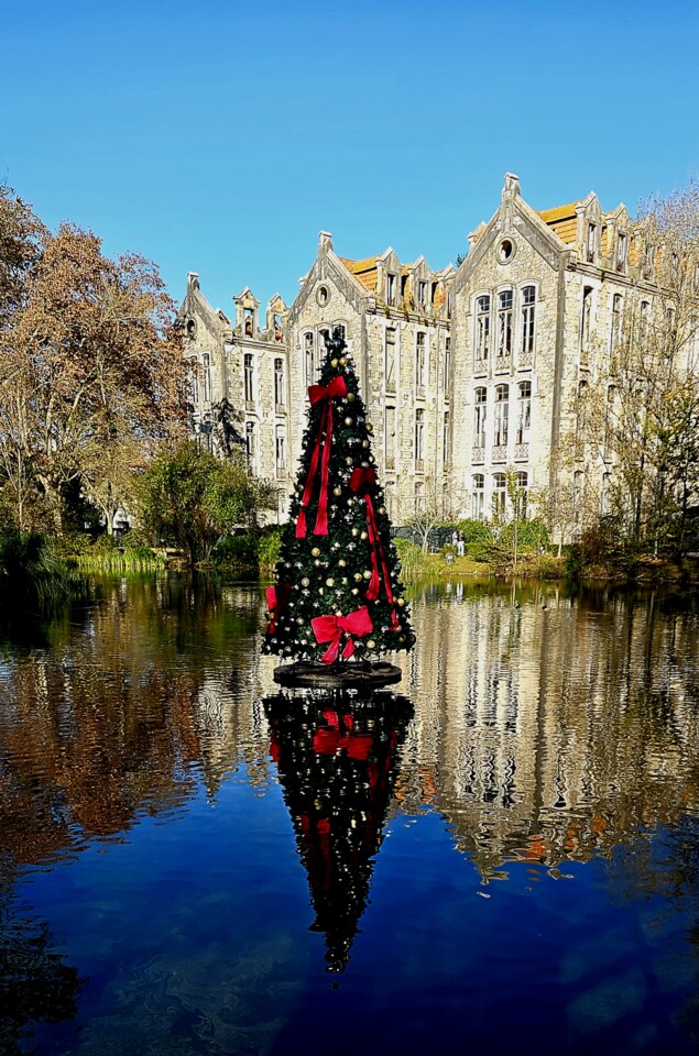 20231218_143723 àrvore de Natal.jpg