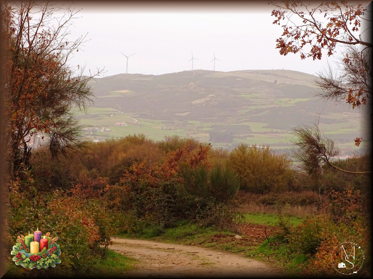 14Dez DSC09225_ms A.JPG