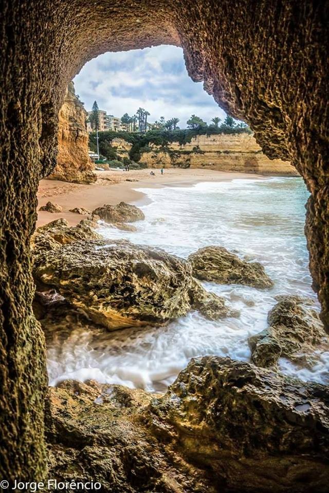 22894250_802612139911181_3366630507791180535_n.jpg 22894250_802612139911181_3366630507791180535_n.jpg