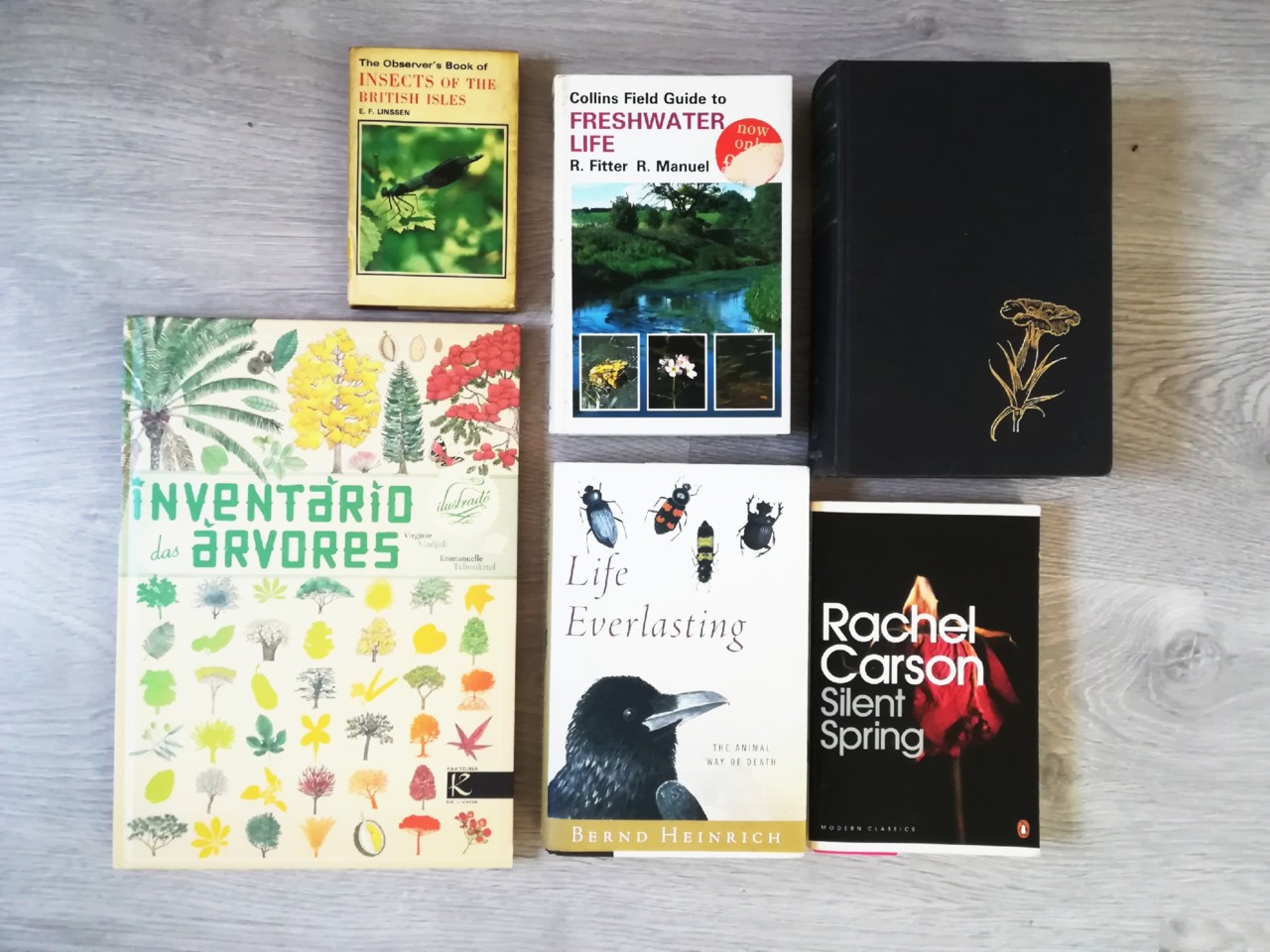 38026336_2288214161206997_2471057383044939776_n.jp