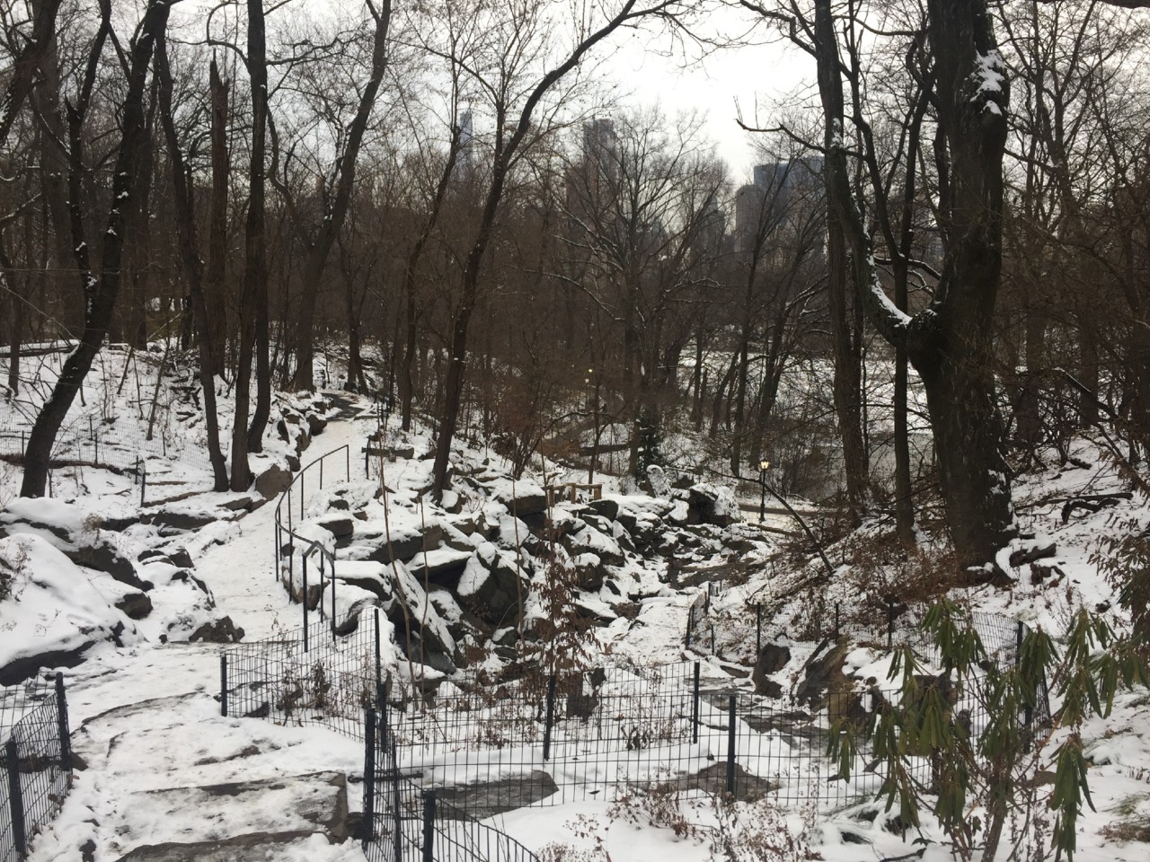 IMG_8529.JPG IMG_8529.JPG