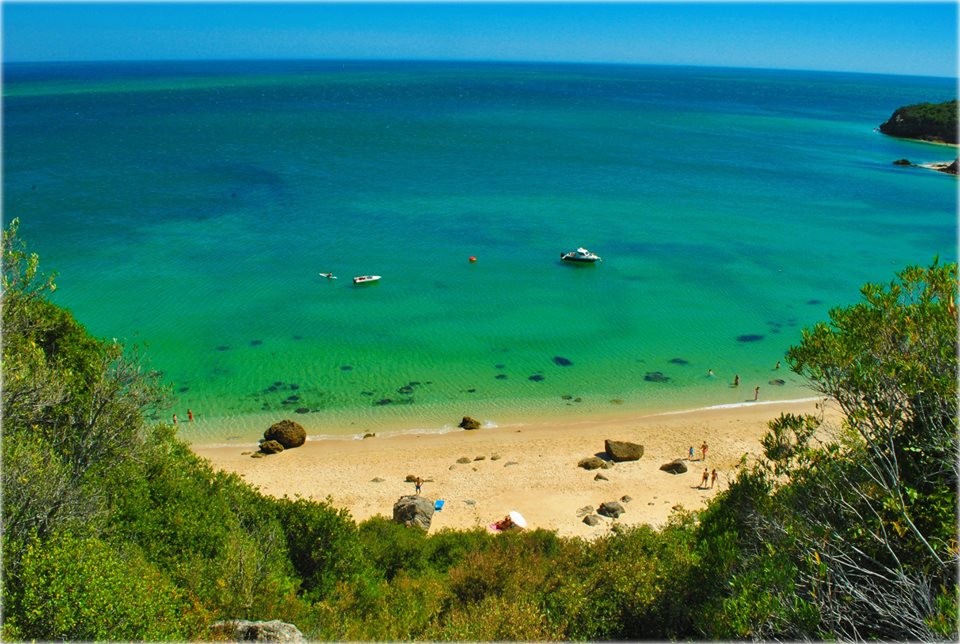 13567258_1089697677735162_2686626589199092493_n.jp 13567258_1089697677735162_2686626589199092493_n.jp