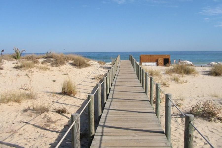 mw-1240.jpg mw-1240.jpg