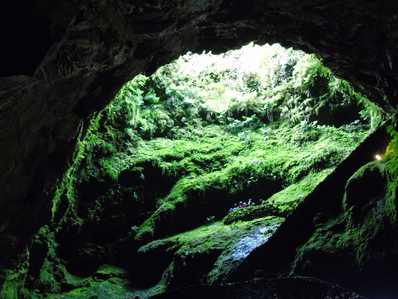 DSC03613.JPG DSC03613.JPG