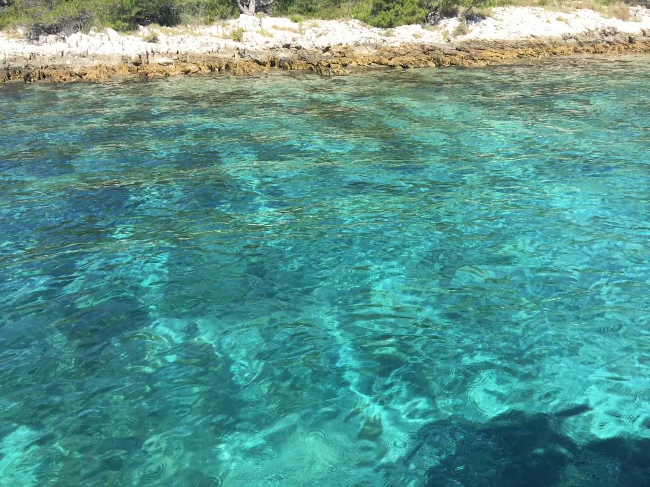 20170529_084227309_iOS.jpg 20170529_084227309_iOS.jpg