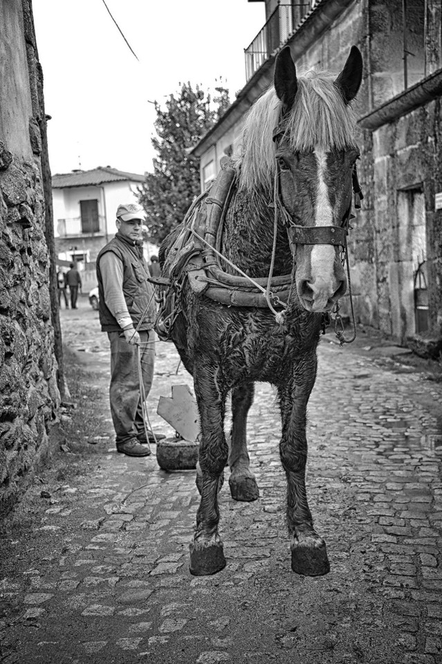 _JMD4844 - Cópia.JPG _JMD4844 - Cópia.JPG