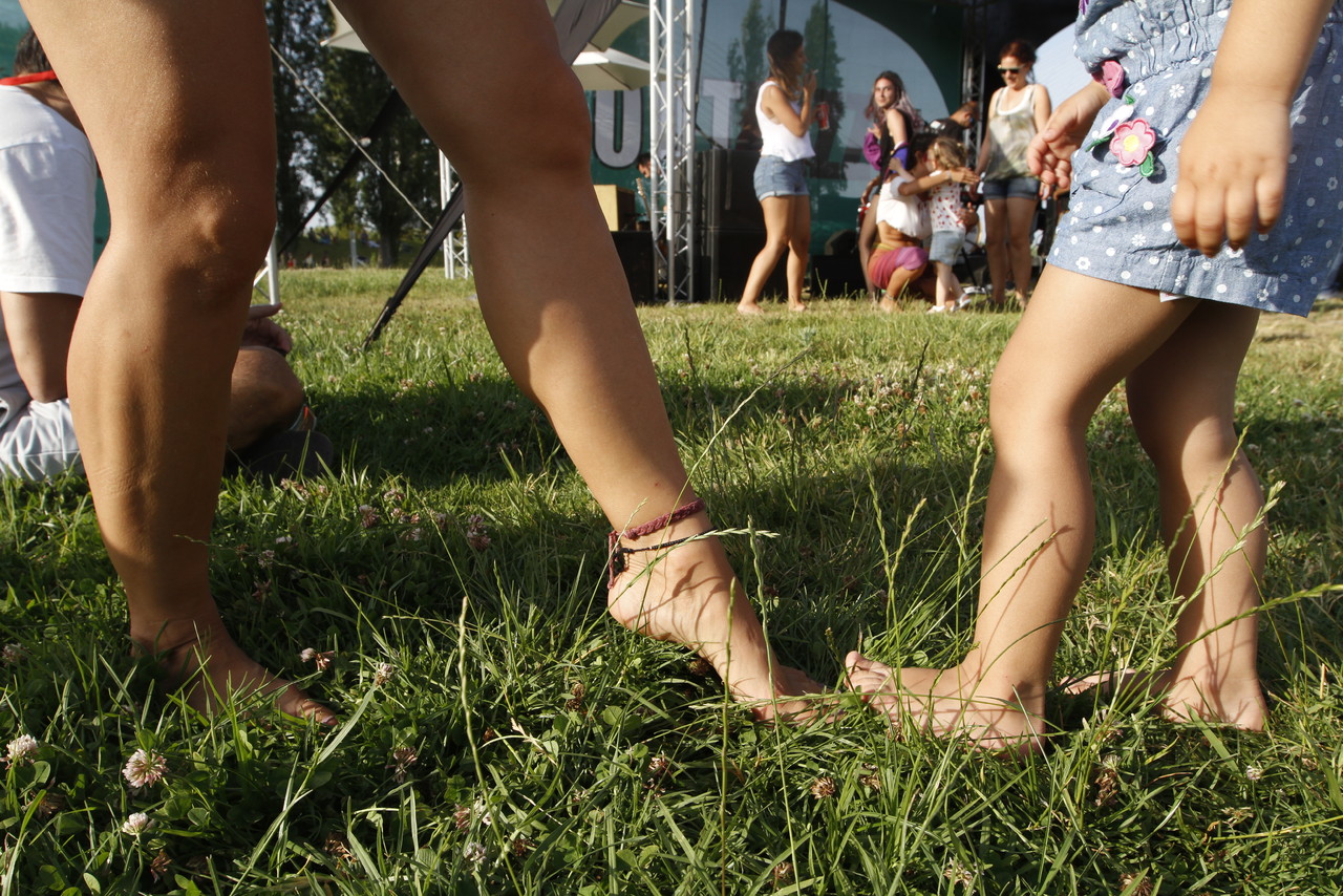 _MG_3571.JPG _MG_3571.JPG